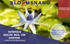 products/POSTER_3cc4ff58-f679-48d1-a6fe-b9b3149434dc.png